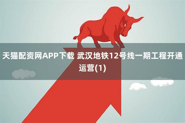 天猫配资网APP下载 武汉地铁12号线一期工程开通运营(1)